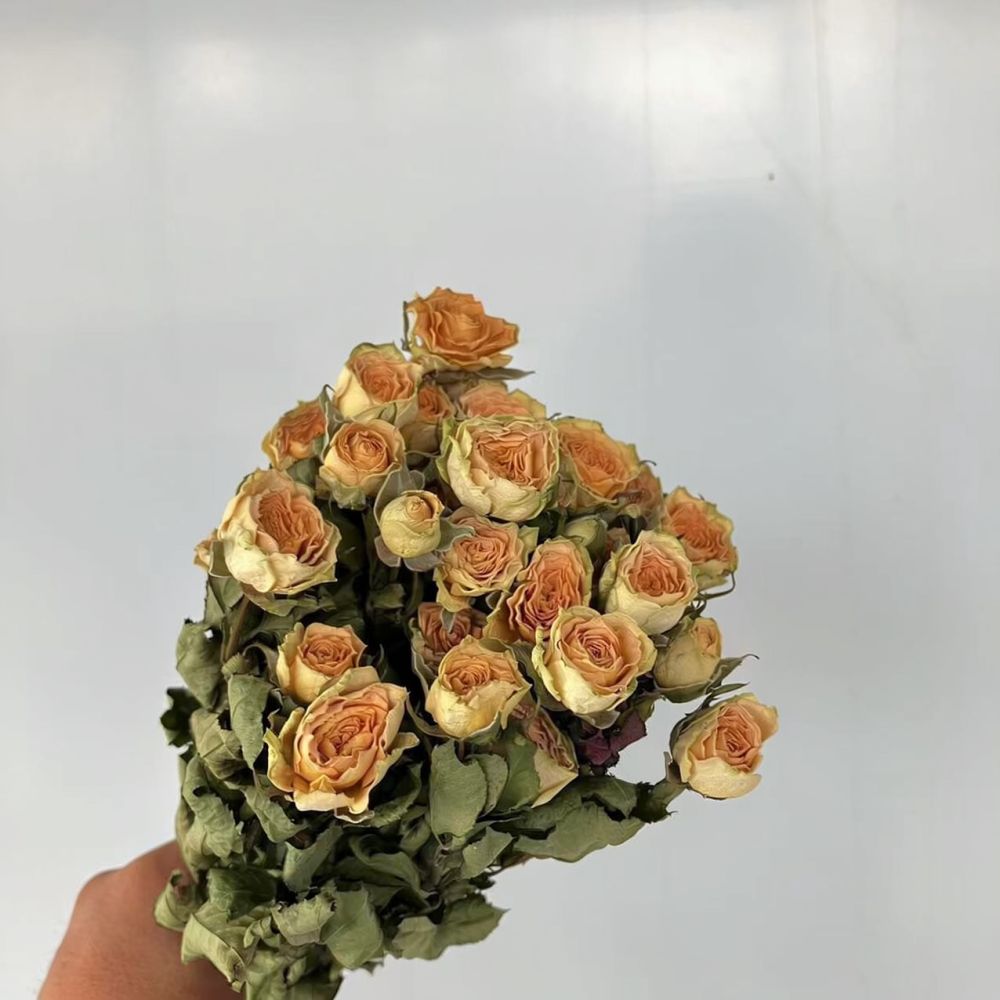 Echte, geconserveerde rozen, g - Resin Art Rose recensie en prijs