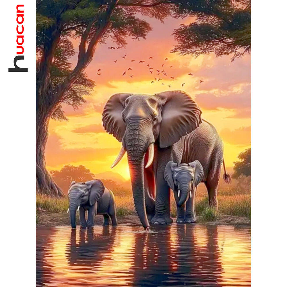 Huacan Olifant Zonsondergang L - Resin Art Wallpaper recensie en prijs