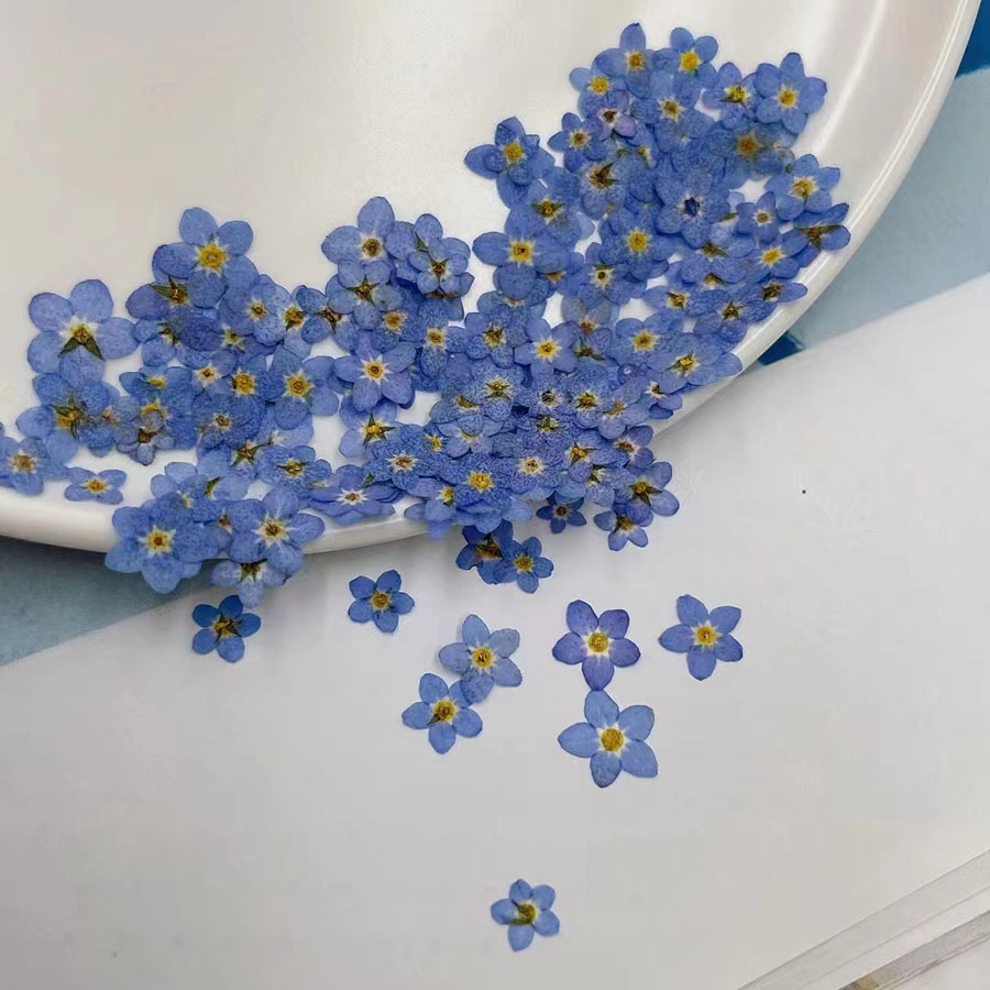 60 stuks gedroogde bloemen – k - Resin Art Baby recensie en prijs