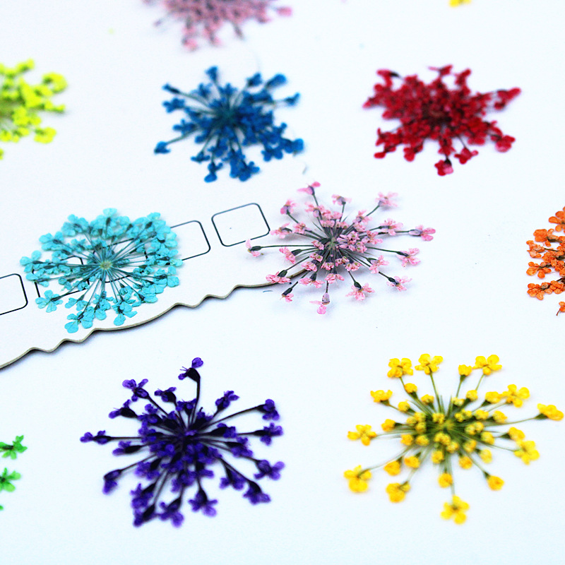 500 stuks Kantbloemen Gedroogd - Resin Art Baby recensie en prijs